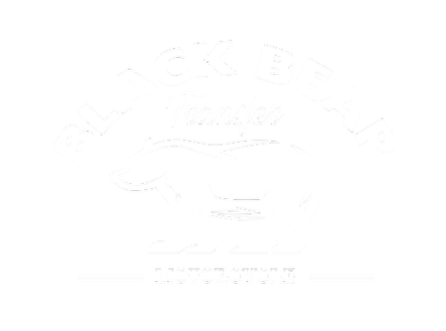 Black Bear Motorcycle Logo
